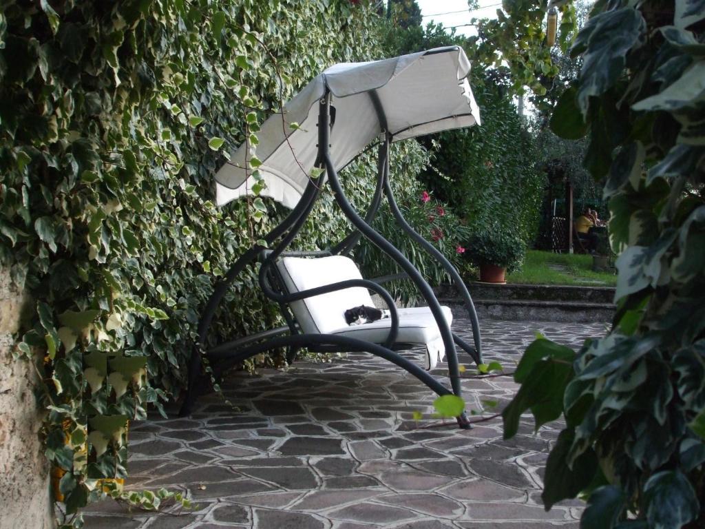 מאלצ'סינה Casa Alessandra מראה חיצוני תמונה